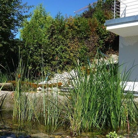 N1 Bed&Breakfast Baden Hertenstein Exterior foto