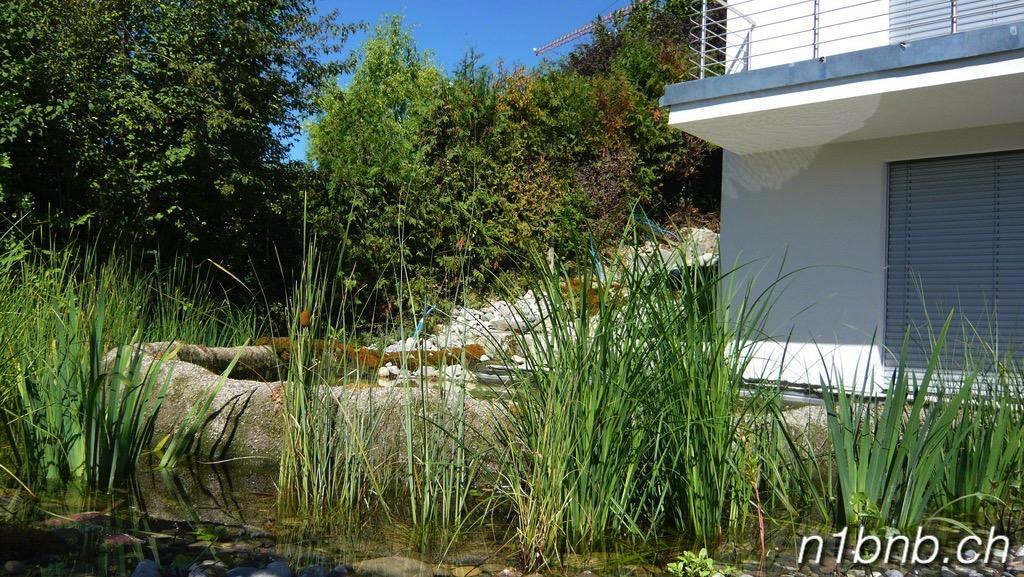 N1 Bed&Breakfast Baden Hertenstein Exterior foto